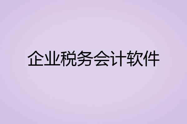 企业税务会计软件