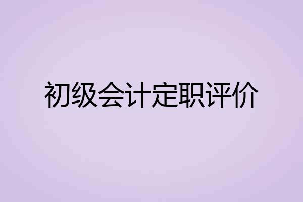 初级会计定职评价