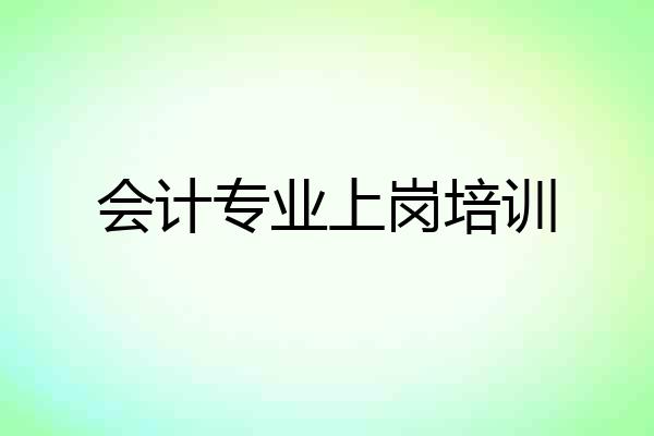 会计专业上岗培训