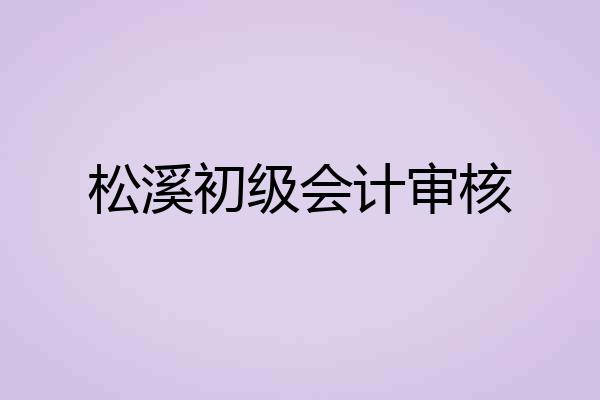 松溪初级会计审核