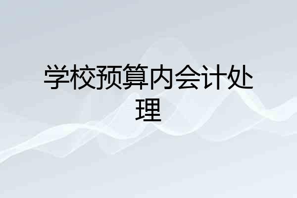 学校预算内会计处理