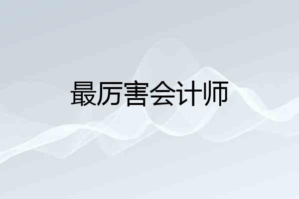 最厉害会计师