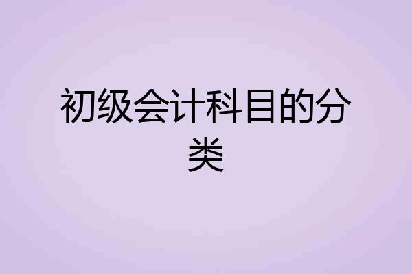 初级会计科目的分类