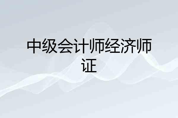 中级会计师经济师证