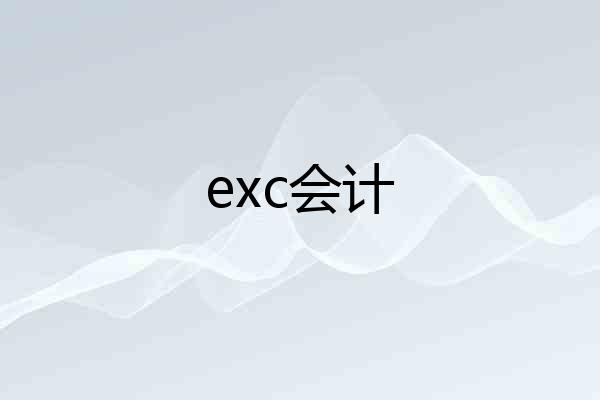 exc会计