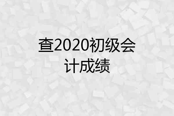 查2020初级会计成绩