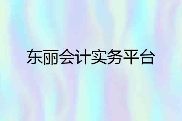 东丽会计实务平台