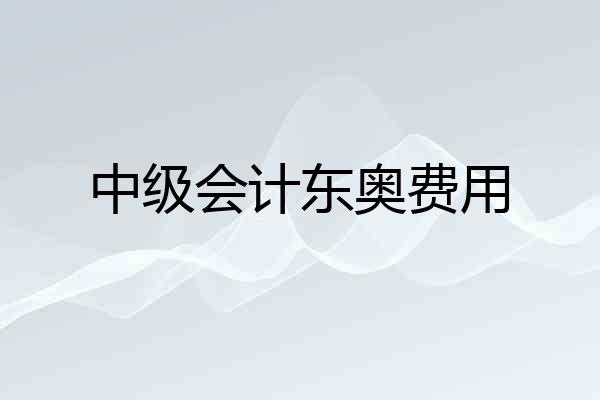 中级会计东奥费用
