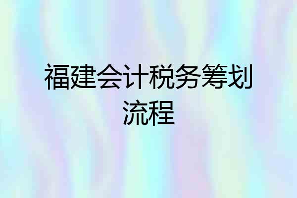 福建会计税务筹划流程
