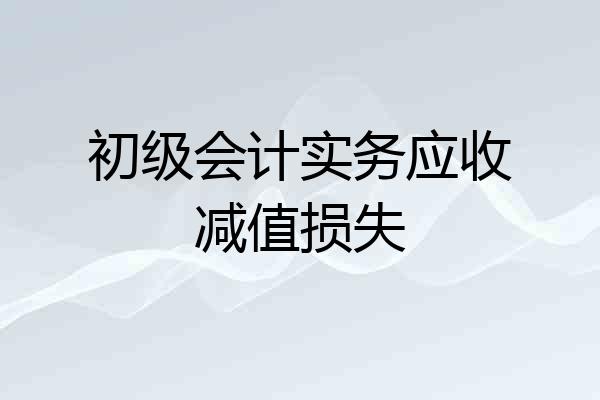初级会计实务应收减值损失