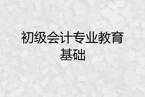 初级会计专业教育基础