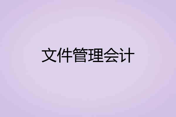 文件管理会计