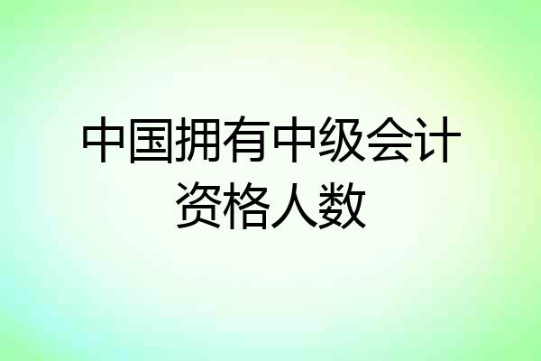 中国拥有中级会计资格人数