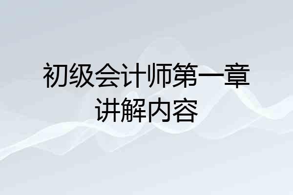 初级会计师第一章讲解内容