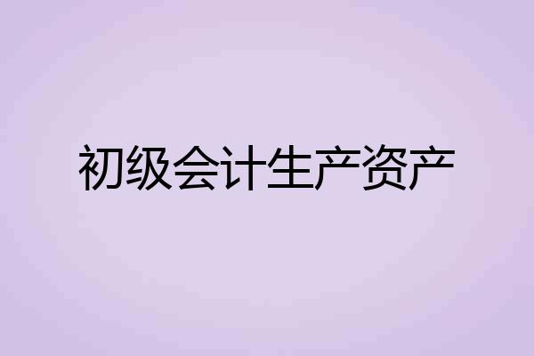 初级会计生产资产