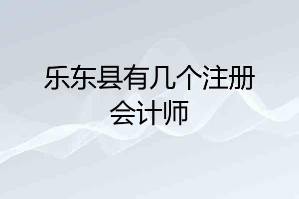乐东县有几个注册会计师