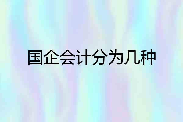 国企会计分为几种