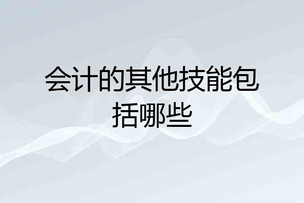 会计的其他技能包括哪些