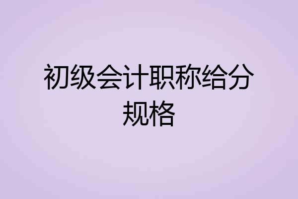 初级会计职称给分规格