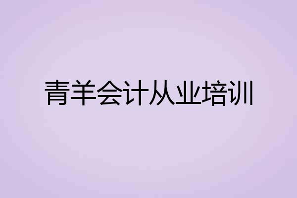 青羊会计从业培训