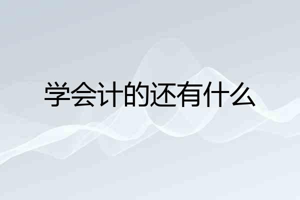学会计的还有什么