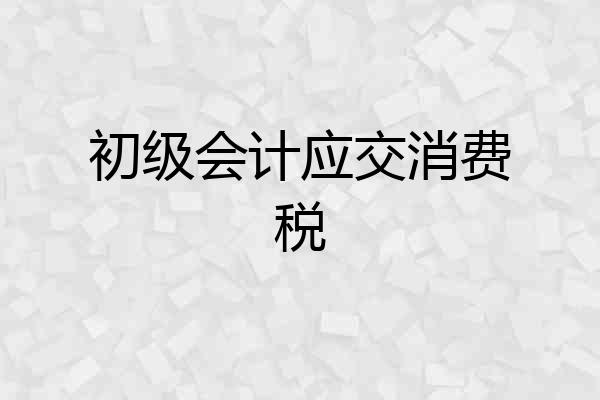 初级会计应交消费税
