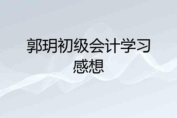 郭玥初级会计学习感想