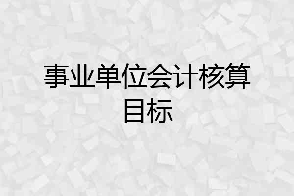 事业单位会计核算目标