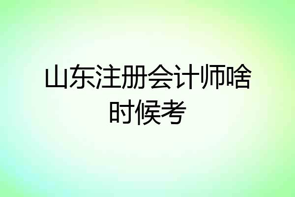 山东注册会计师啥时候考