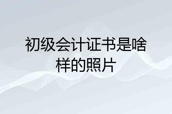 初级会计证书是啥样的照片