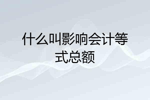 什么叫影响会计等式总额