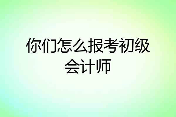 你们怎么报考初级会计师