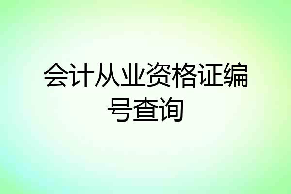 会计从业资格证编号查询