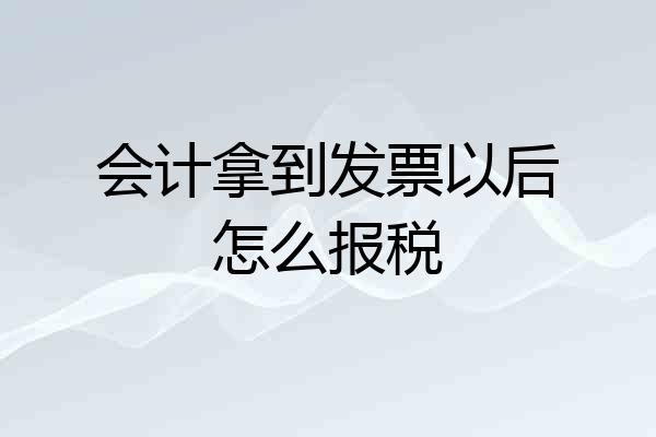 会计拿到发票以后怎么报税