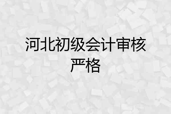 河北初级会计审核严格