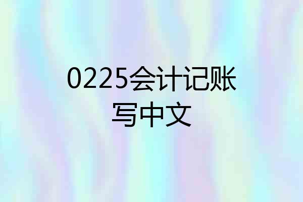 0225会计记账写中文