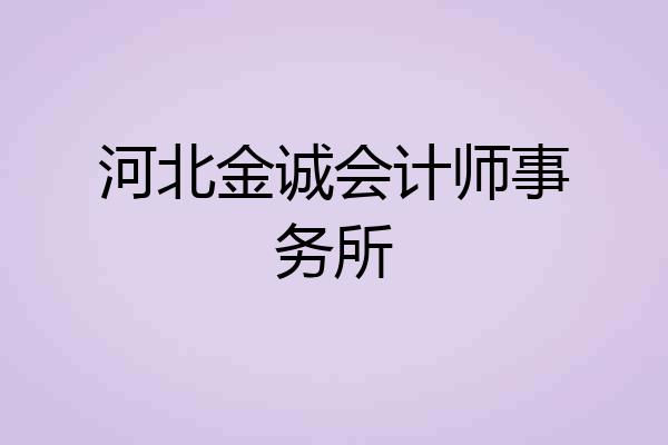 河北金诚会计师事务所