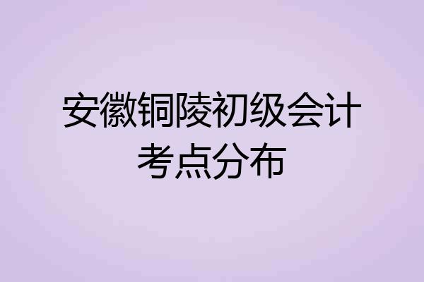 安徽铜陵初级会计考点分布