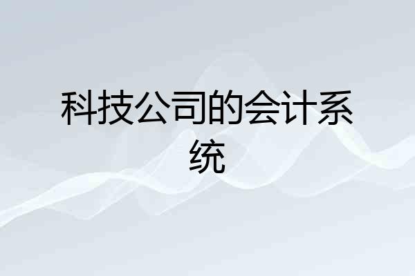 科技公司的会计系统