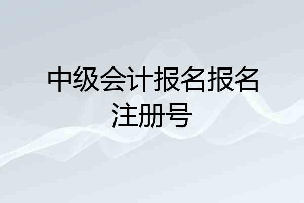 中级会计报名报名注册号