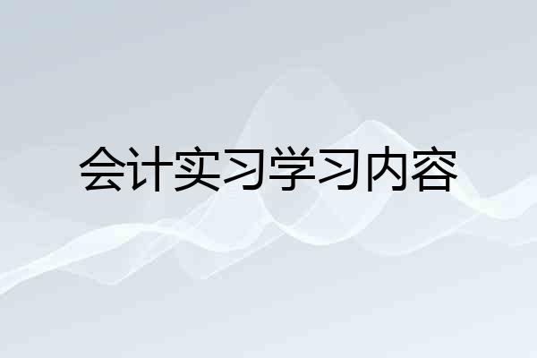 会计实习学习内容