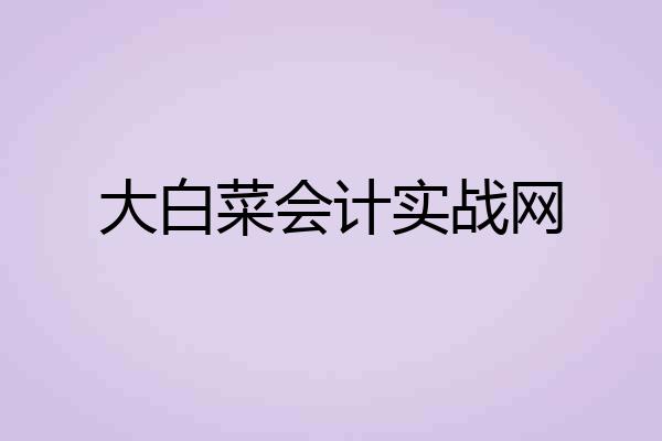 大白菜会计实战网