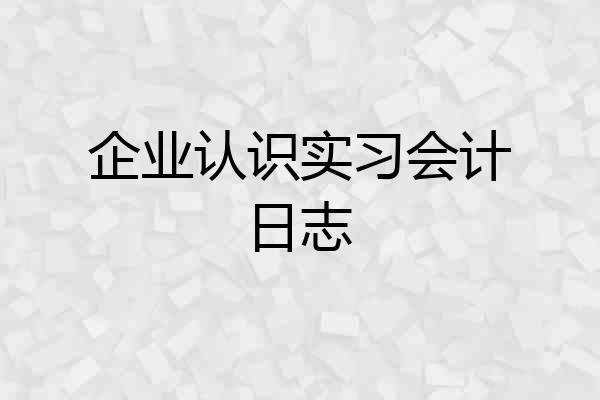 企业认识实习会计日志
