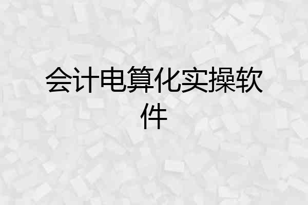 会计电算化实操软件