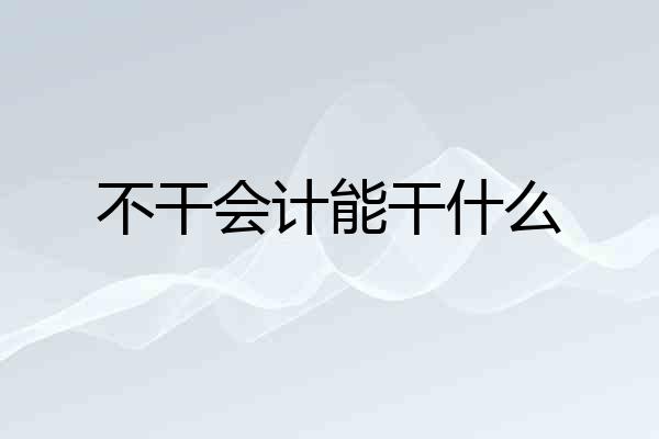不干会计能干什么