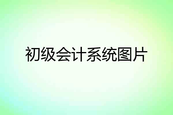 初级会计系统图片