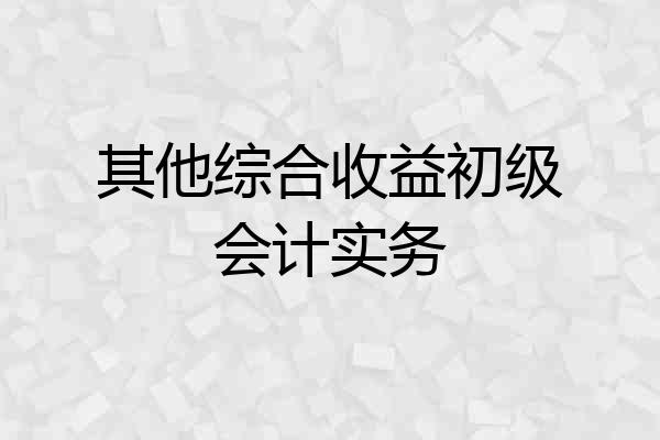其他综合收益初级会计实务