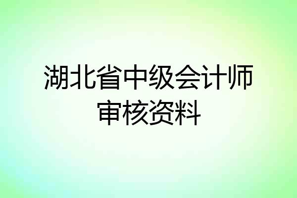 湖北省中级会计师审核资料
