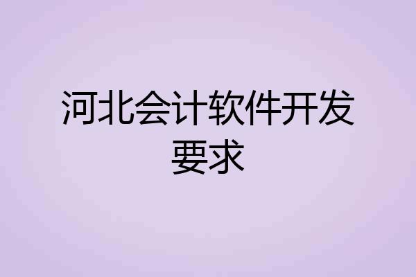 河北会计软件开发要求