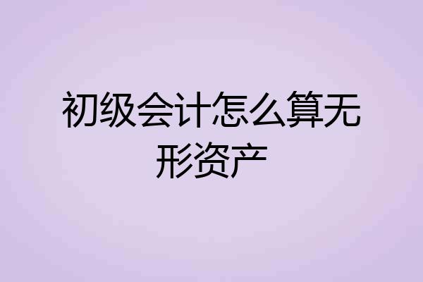 初级会计怎么算无形资产